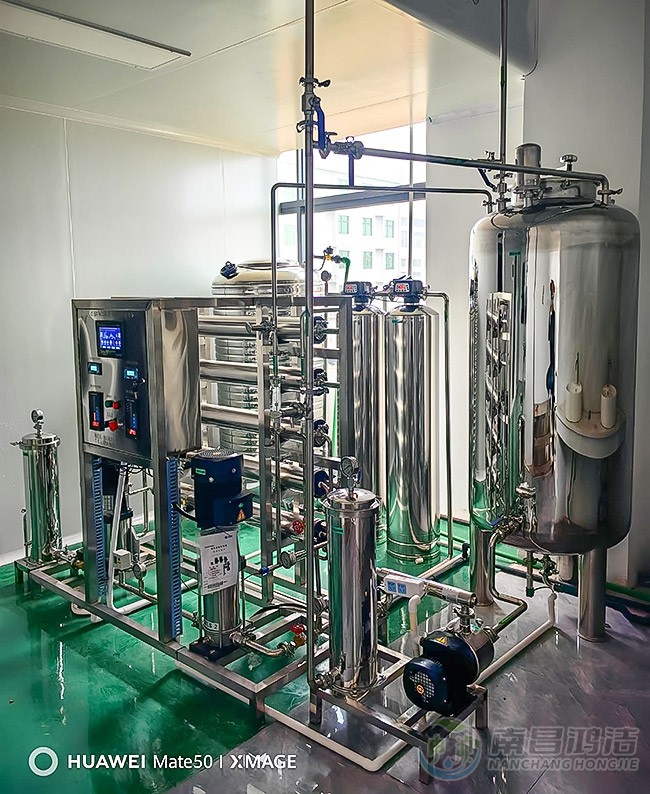 0.5吨二级反渗透纯化水设备