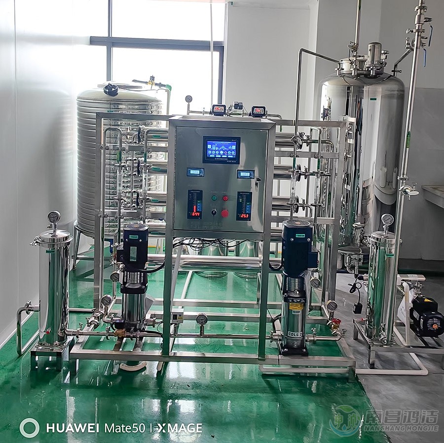 瑞春0.5T二级反渗透设备