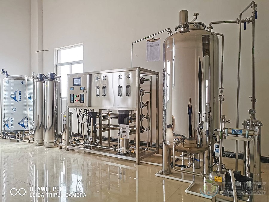 翔翊0.5T二级反渗透设备